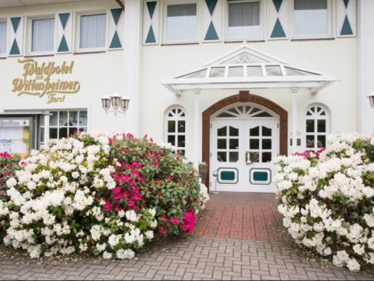 Фото: Waldhotel am Wittenheim Forst